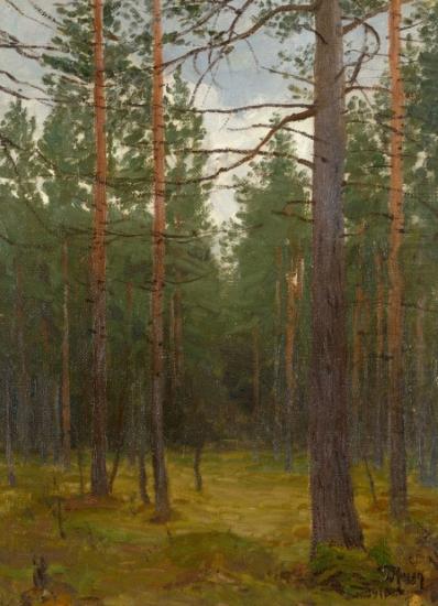 unknow artist Pine forest china oil painting image